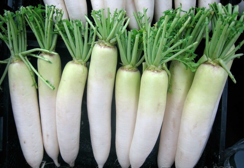 Bạn có biết tác hại của củ cải trắng khi kết hợp sai cách?