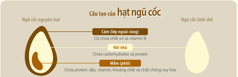 Ngũ cốc nguyên hạt và ngũ cốc tinh chế