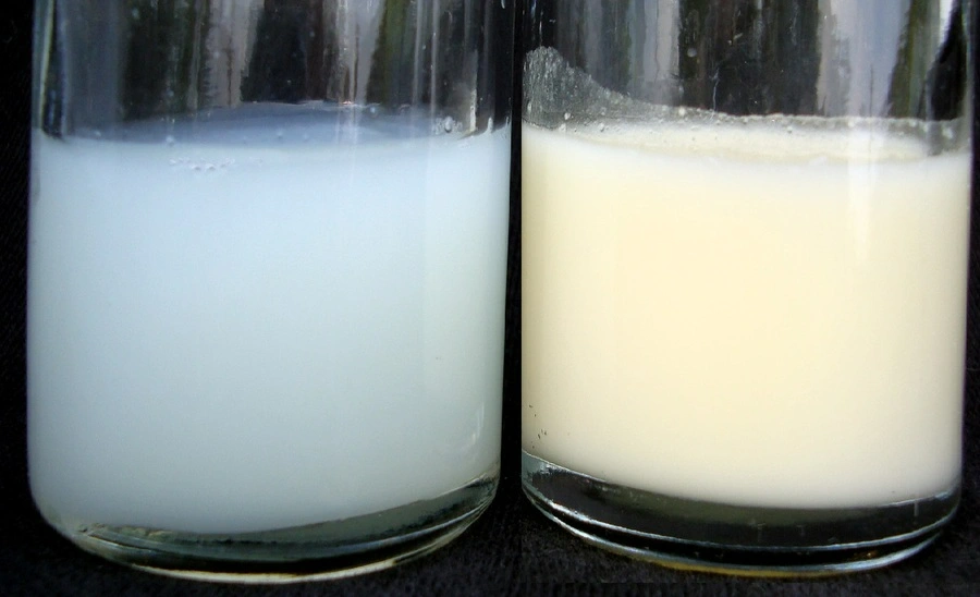 nguyen nhan sua me bi loang