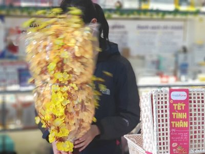 Bạn Nhung trên tay những hoa mai vàng tươi săc
