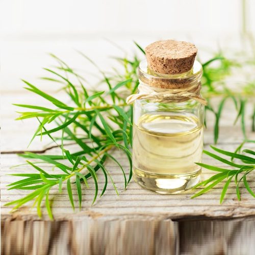 la-tram-va-tinh-dau-tram